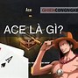 Ace Là Gì