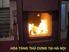 Dịch Vụ Hỏa Táng Thú Cưng Tại Hà Nội