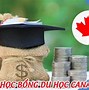 Du Học Canada Bậc Thạc Sĩ 2024 Tphcm Online Miễn Phí