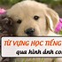 Học Từ Vựng Tiếng Anh Qua Hình Ảnh