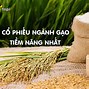 Mã Chứng Khoán Gạo Lộc Trời