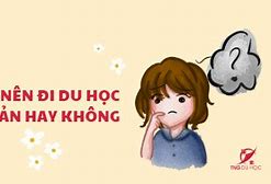 Nên Đi Nhật Hay Không