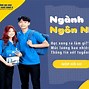 Ngôn Ngữ Anh Thuộc Khối Nào