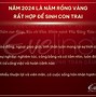 Nhâm Thân Sinh Con Năm 2024 Tốt Không