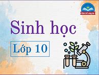 Sinh Học 10 Bài 14 Chân Trời Sáng Tạo