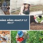 Xuất Khẩu Lao Động Nông Nghiệp